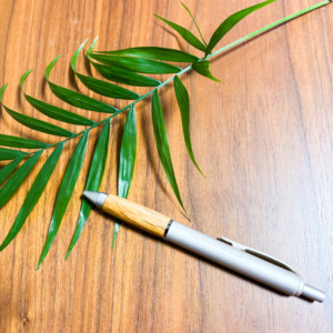 pen_premier001