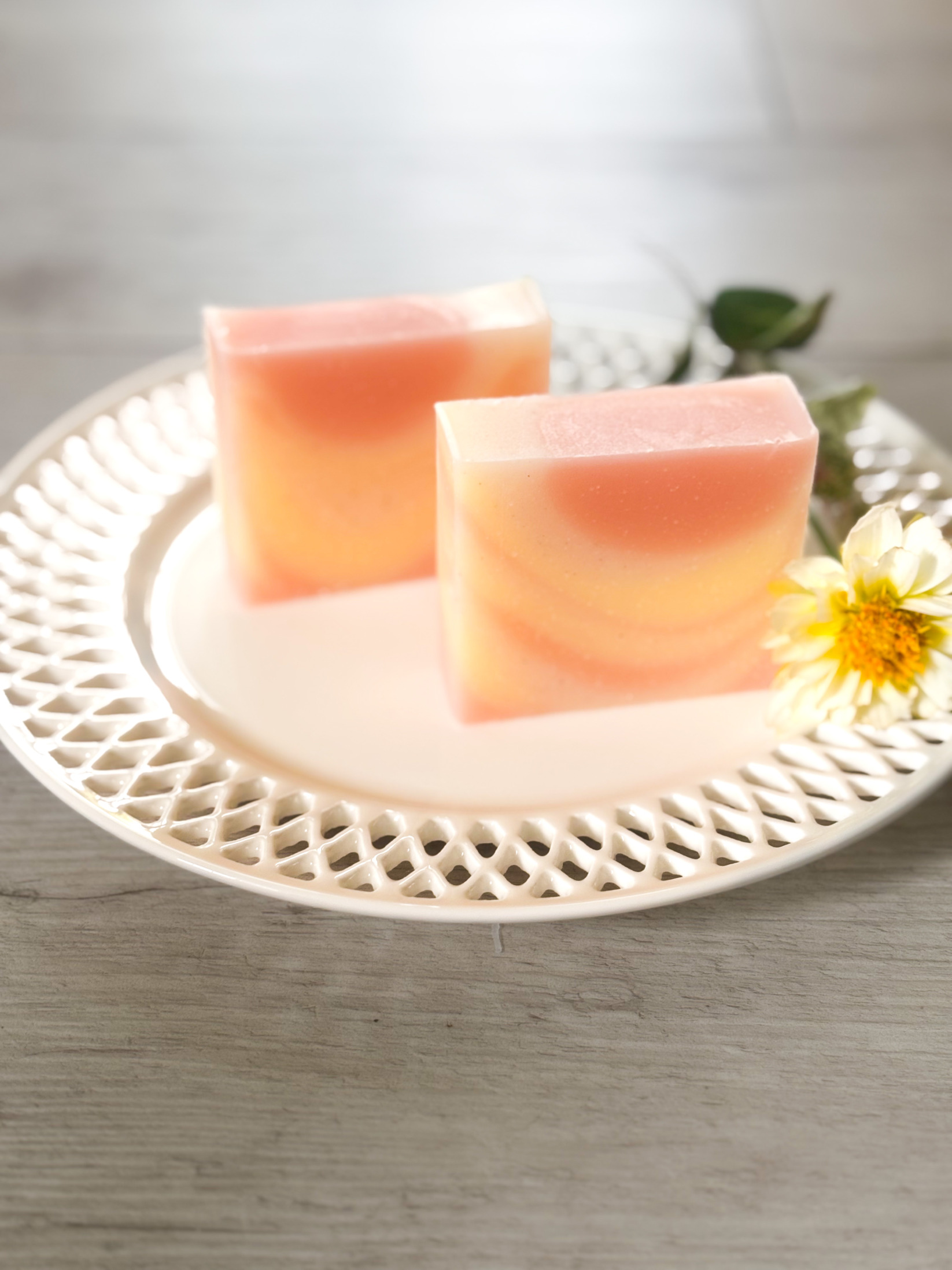 豊かな未来の受け取り　レギュラー＆ミニ薔薇　