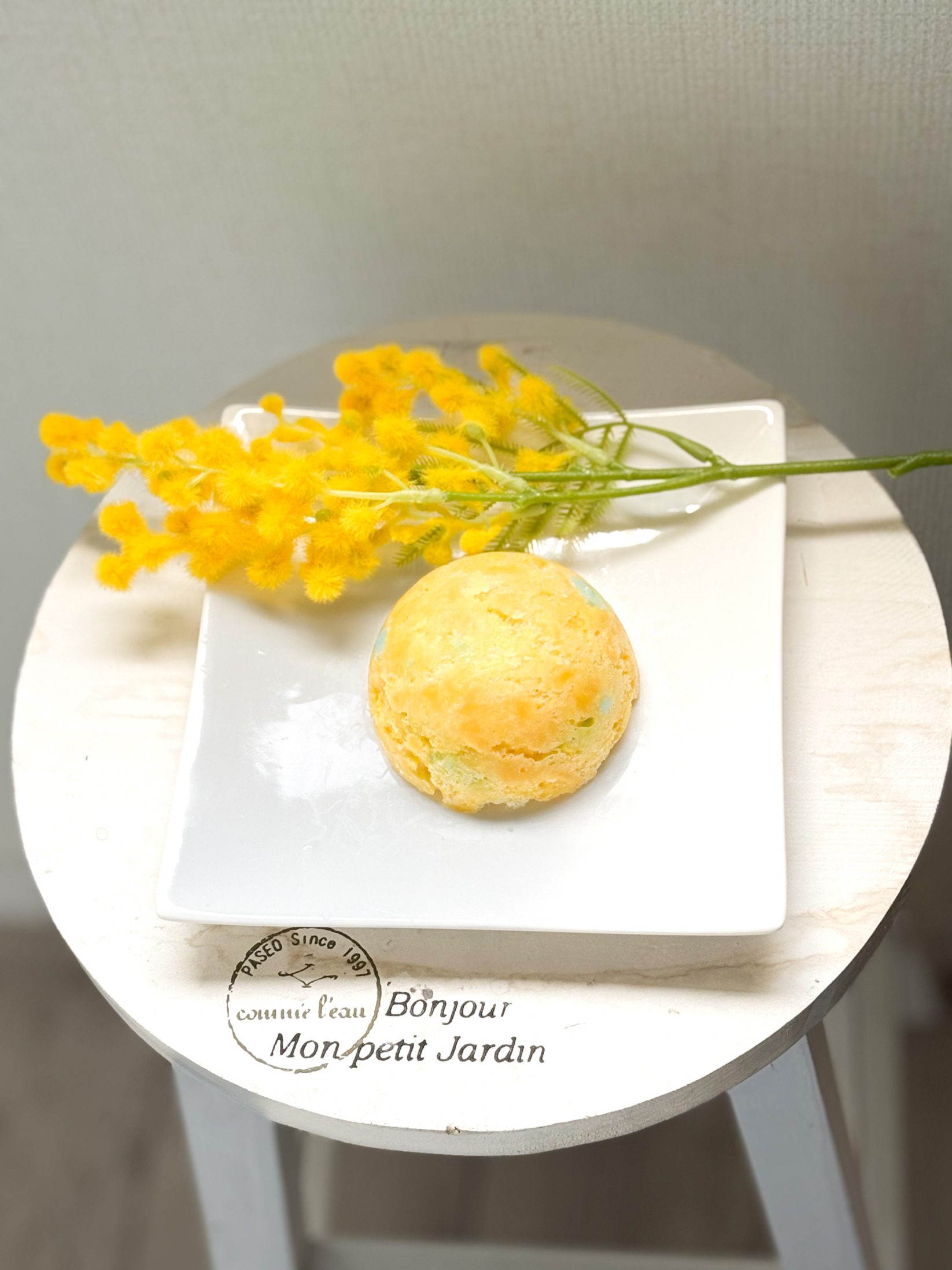 ラグジュアリーシリーズ　アバンダンス・リレイション　ドーム　1月23日より販売開始