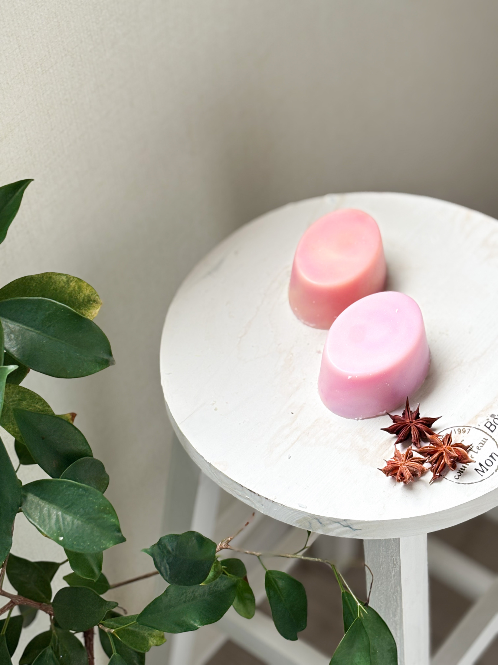 Moon of Fortune（ムーン・オブ・フォーチュン）～運命の縁結び～　オーバル　2/21より販売開始いたします