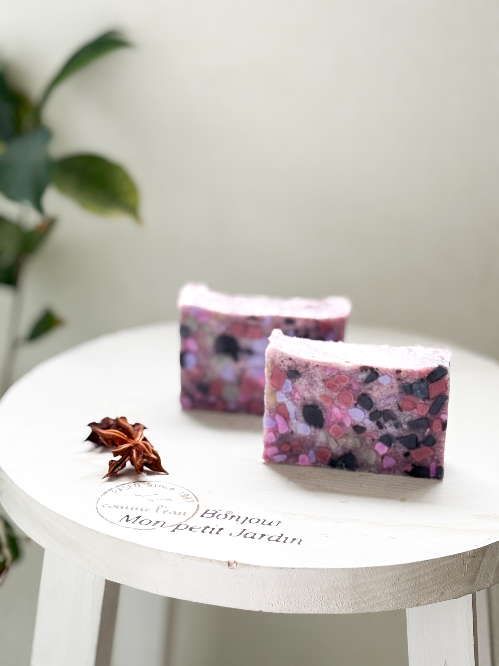 ― Shadow Goddess / シャドウゴッデス ―　