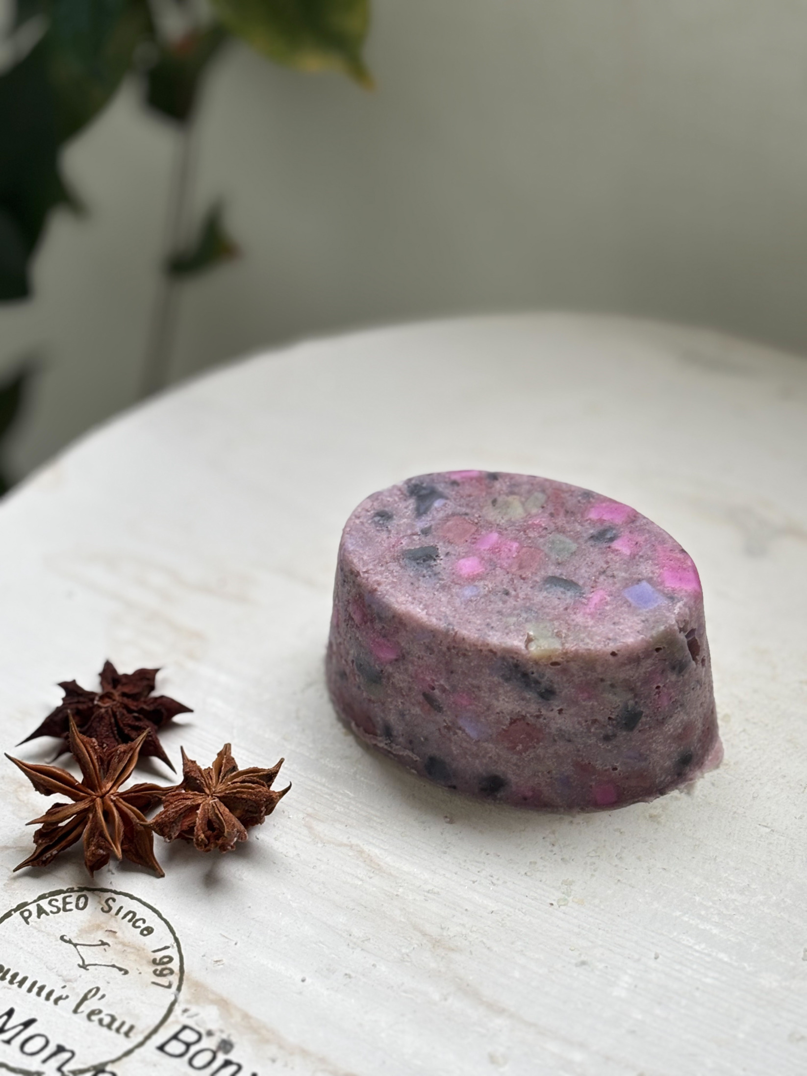 ― Shadow Goddess / シャドウゴッデス ―　オーバル　